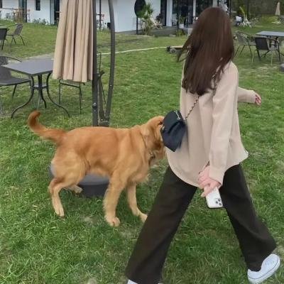 稀人